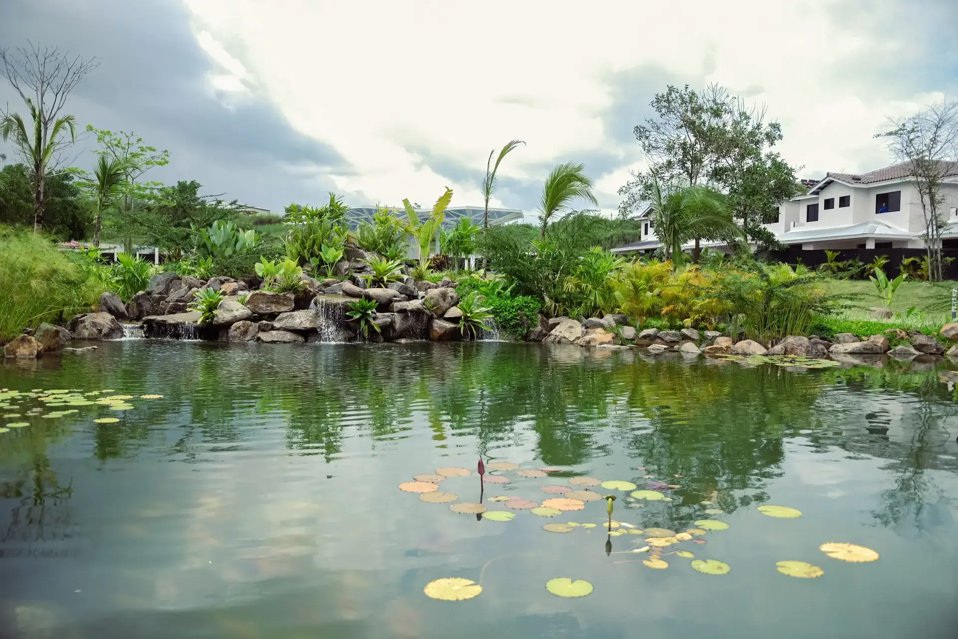 pond