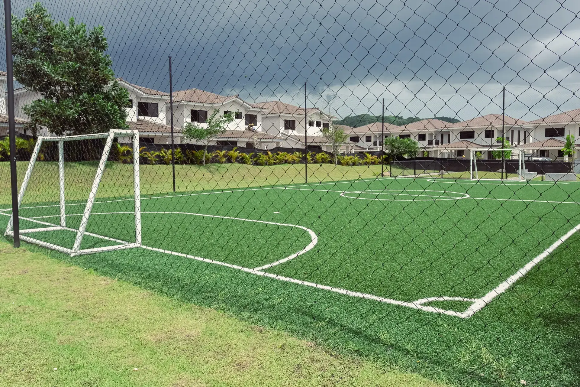 turf