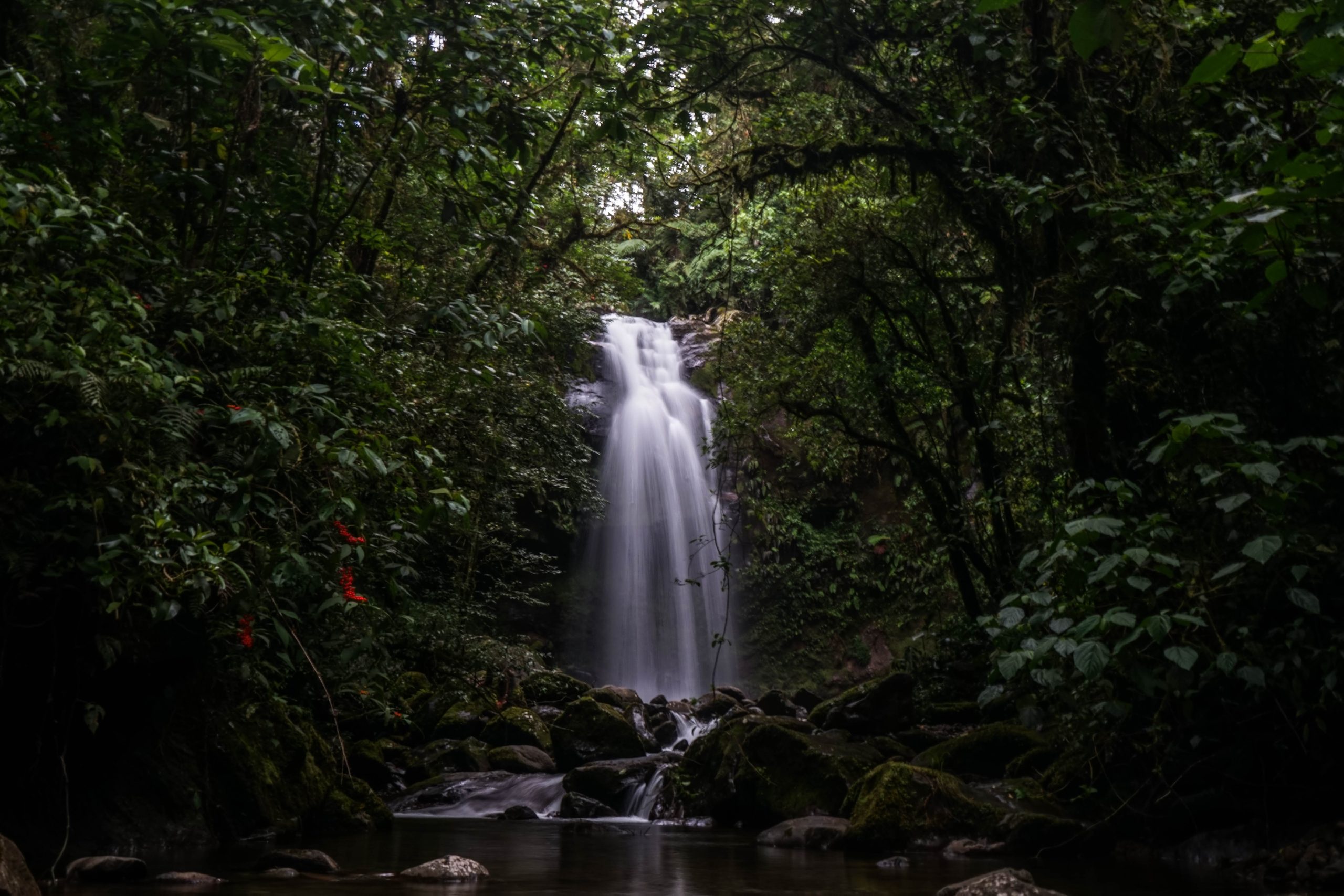 Chorro de aguas cristalinas en medio de la selva virgen que caracteriza los alrededores de Arraiján