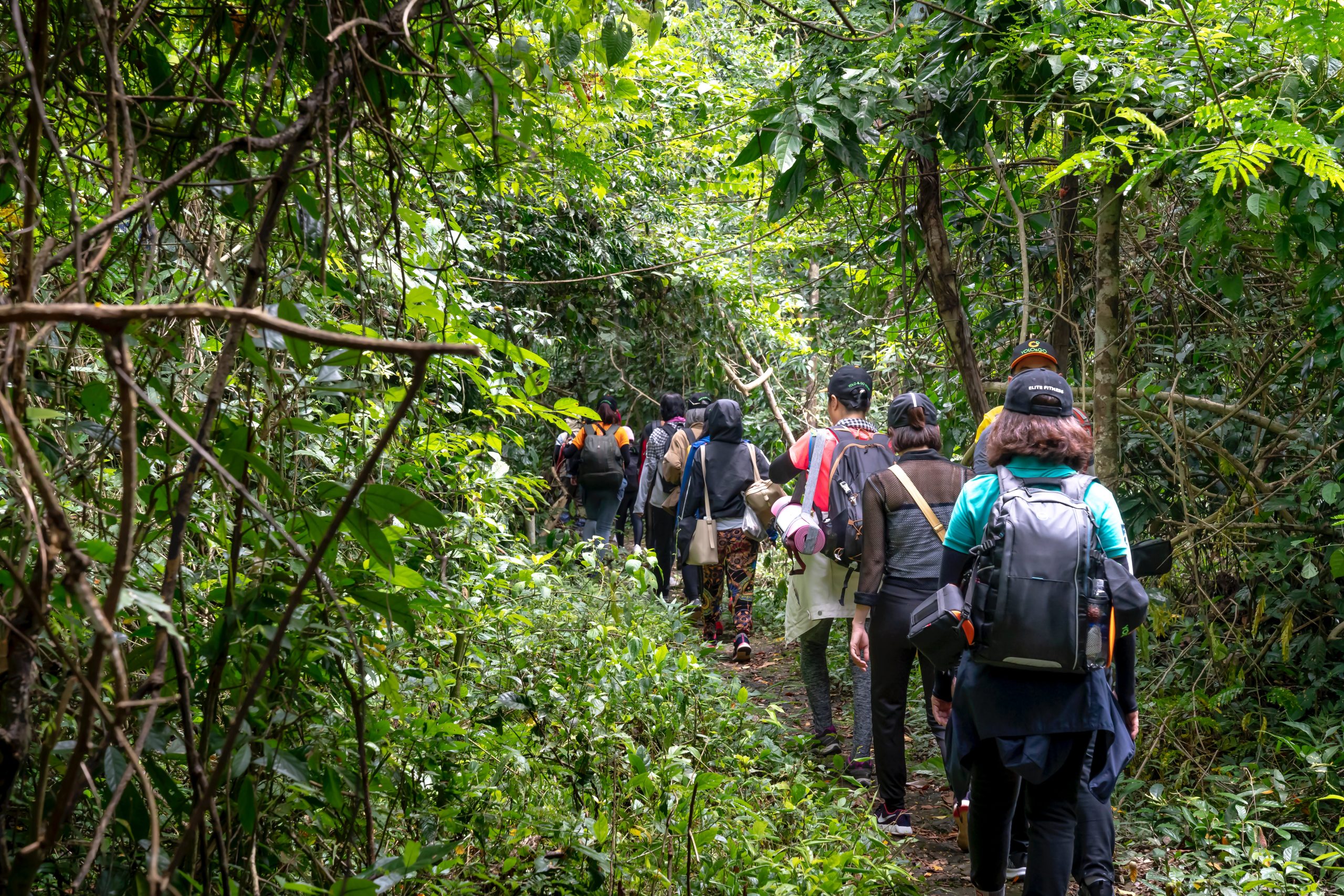 Grupo de personas haciendo senderismo con mochilas explorando la selva durante la caminata