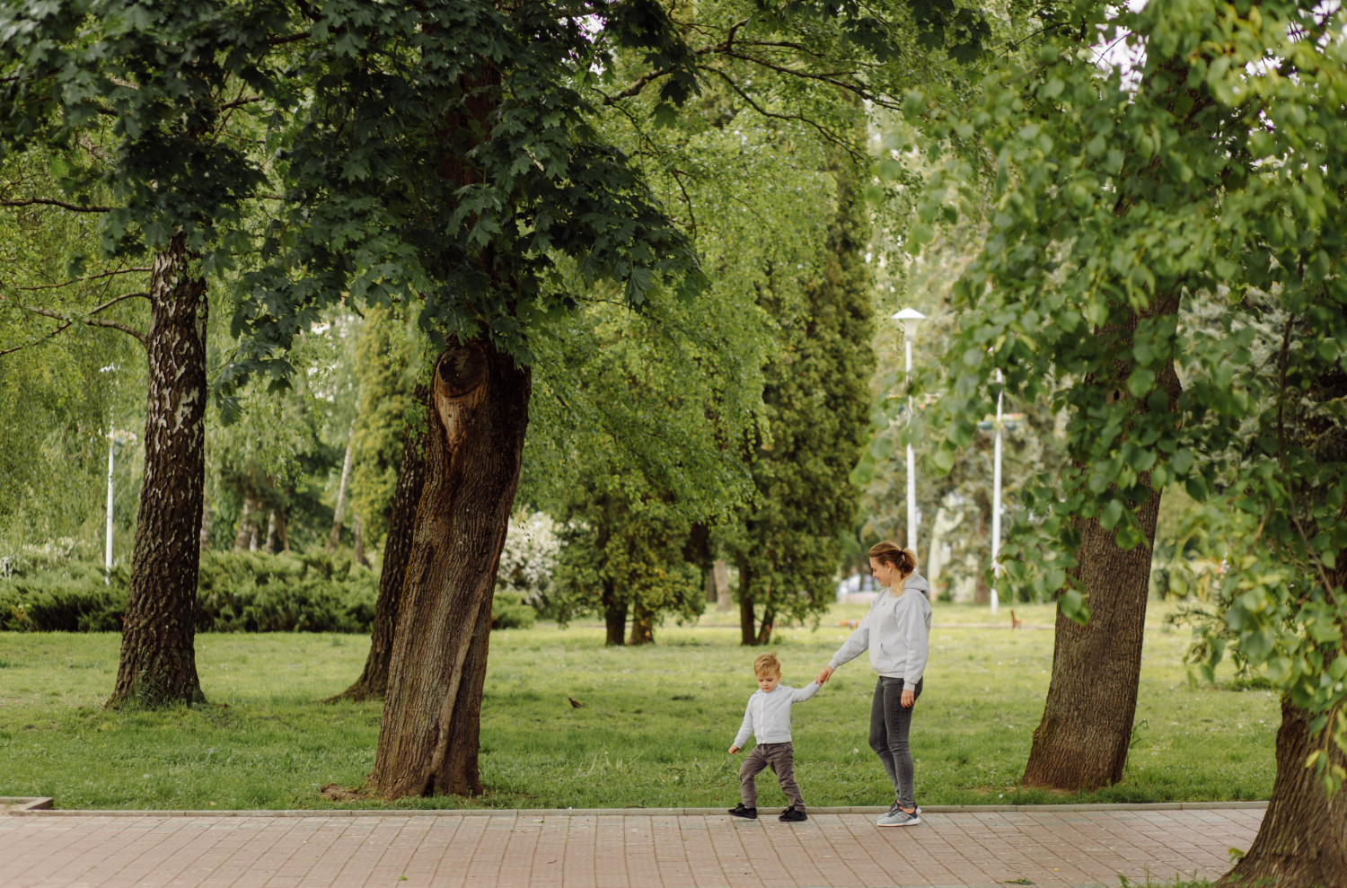 Parque urbano en Panamá con espacios verdes y personas disfrutando al aire libre 